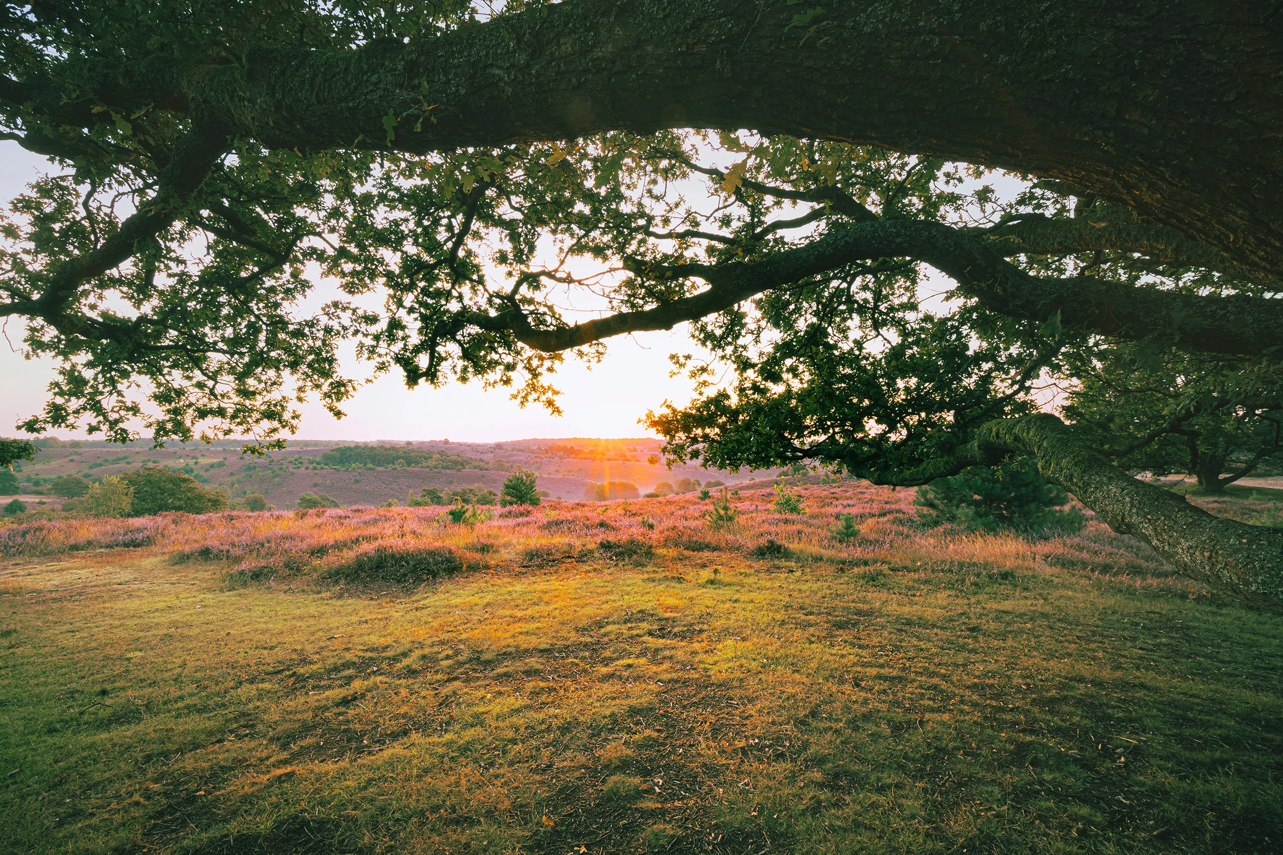 Evenementen locaties Outdoor Events Veluwe